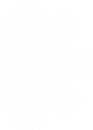 Welcome Shape 6